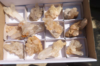 Natural Quartz Cluster x 12 From Ambatofinandrahana, Madagascar