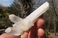 Natural Quartz Cluster x 12 From Ambatofinandrahana, Madagascar