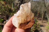 Natural Quartz Cluster x 12 From Ambatofinandrahana, Madagascar