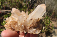 Natural Quartz Cluster x 12 From Ambatofinandrahana, Madagascar