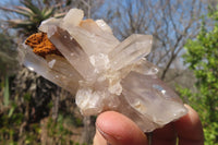 Natural Quartz Cluster x 12 From Ambatofinandrahana, Madagascar