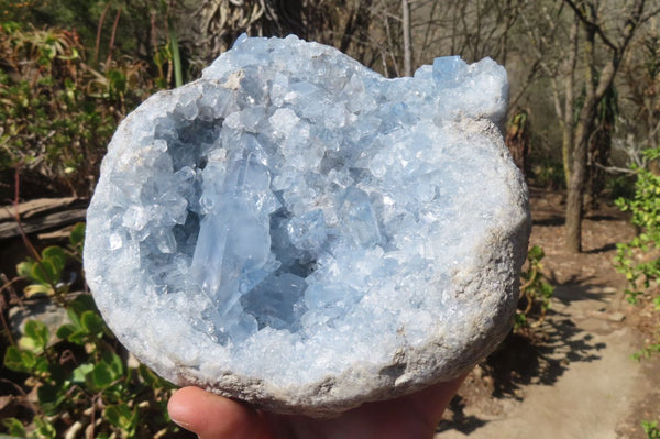 Natural Blue Celestite Crystal Specimen x 1 From Sakoany, Madagascar