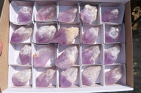 Natural Jacaranda Amethyst Single Crystals x 20 From Mumbwe, Zambia