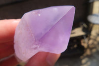 Natural Jacaranda Amethyst Single Crystals x 20 From Mumbwe, Zambia