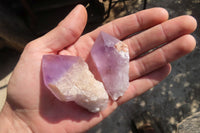 Natural Jacaranda Amethyst Single Crystals x 20 From Mumbwe, Zambia