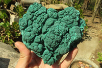 Natural Botryoidal Malachite Specimens x 1 From Kolwezi, Congo