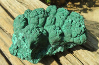 Natural Botryoidal Malachite Specimens x 1 From Kolwezi, Congo