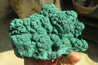 Natural Botryoidal Malachite Specimens x 1 From Kolwezi, Congo