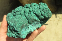 Natural Botryoidal Malachite Specimens x 1 From Kolwezi, Congo