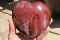 Polished Petrified Podocarpus Wood Hearts x 2 Mahajanga, Madagascar