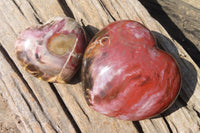 Polished Petrified Podocarpus Wood Hearts x 2 Mahajanga, Madagascar