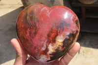 Polished Petrified Podocarpus Wood Hearts x 2 Mahajanga, Madagascar