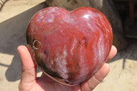 Polished Petrified Podocarpus Wood Hearts x 2 Mahajanga, Madagascar