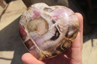 Polished Petrified Podocarpus Wood Hearts x 2 Mahajanga, Madagascar