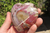 Polished Petrified Podocarpus Wood Hearts x 2 Mahajanga, Madagascar