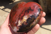 Polished Petrified Podocarpus Wood Hearts x 2 Mahajanga, Madagascar