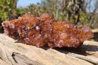 Natural Amethyst Plates x 24 From Kwaggafontein, South Africa