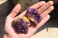 Natural Amethyst Plates x 24 From Kwaggafontein, South Africa