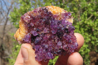 Natural Amethyst Plates x 24 From Kwaggafontein, South Africa