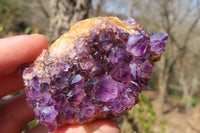 Natural Amethyst Plates x 24 From Kwaggafontein, South Africa