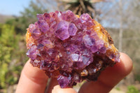 Natural Amethyst Plates x 24 From Kwaggafontein, South Africa