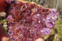 Natural Amethyst Plates x 24 From Kwaggafontein, South Africa