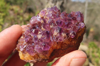 Natural Amethyst Plates x 24 From Kwaggafontein, South Africa