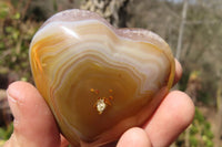 Polished Carnelian Agate Hearts x 12 From West Coast, Madagascar