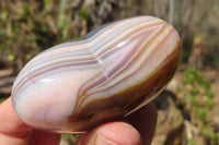 Polished Carnelian Agate Hearts x 12 From West Coast, Madagascar