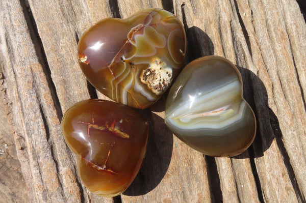 Polished Carnelian Agate Hearts x 12 From West Coast, Madagascar