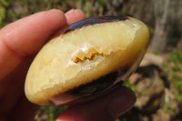 Polished Septerye Galet / Palm Stones x 12 From Mahajanga, Madagascar