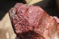 Natural Red Hematoid Phantom Quartz Cluster x 5 From Karoi, Zimbabwe