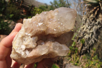 Natural Smokey Quartz Clusters x 2 From Luena, Congo