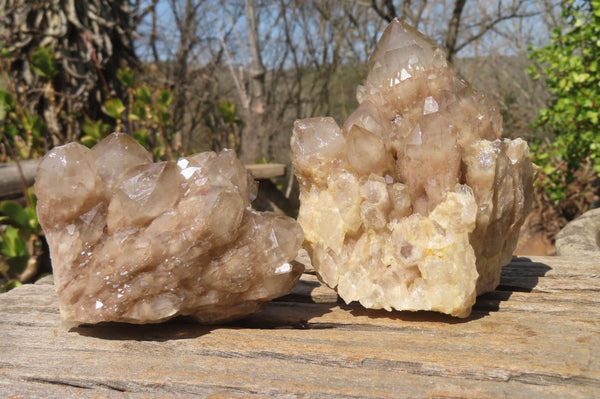 Natural Smokey Quartz Clusters x 2 From Luena, Congo