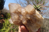 Natural Smokey Quartz Clusters x 2 From Luena, Congo