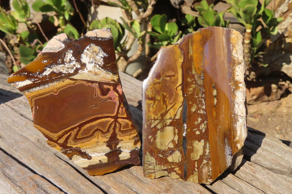 Polished One Side Nguni Jasper Specimens x 2 From Northern Cape, South Africa