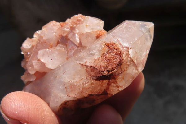 Natural Clear Quartz Crystal Specimens x 12 From Mpika, Zambia