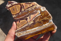 Polished One Side Nguni Jasper Specimens x 3 From Prieska, South Africa