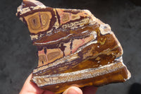 Polished One Side Nguni Jasper Specimens x 3 From Prieska, South Africa