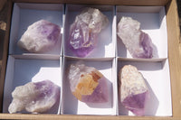 Polished Single Jacaranda Amethyst Crystals x 6 From Mumbwe, Zambia