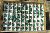 Natural Silky Malachite Specimens x 72 From Kasompe, Congo