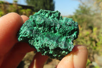 Natural Silky Malachite Specimens x 72 From Kasompe, Congo