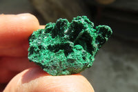 Natural Silky Malachite Specimens x 72 From Kasompe, Congo