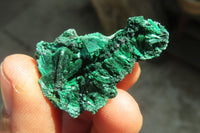 Natural Silky Malachite Specimens x 72 From Kasompe, Congo