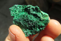 Natural Silky Malachite Specimens x 72 From Kasompe, Congo