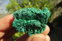 Natural Silky Malachite Specimens x 72 From Kasompe, Congo