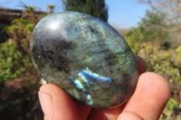 Polished Labradorite Galet / Palm Stones x 12 From Tulear, Madagascar