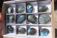 Polished Labradorite Galet / Palm Stones x 12 From Tulear, Madagascar