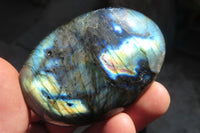 Polished Labradorite Galet / Palm Stones x 12 From Tulear, Madagascar