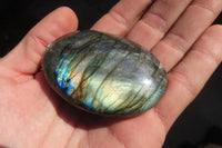 Polished Labradorite Galet / Palm Stones x 12 From Tulear, Madagascar